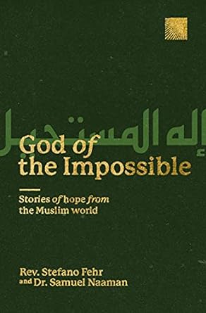 GOD OF THE IMPOSSIBLE - STEFANO FEHR