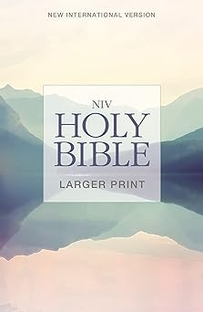 NIV HOLY BIBLE LARGER PRINT PB