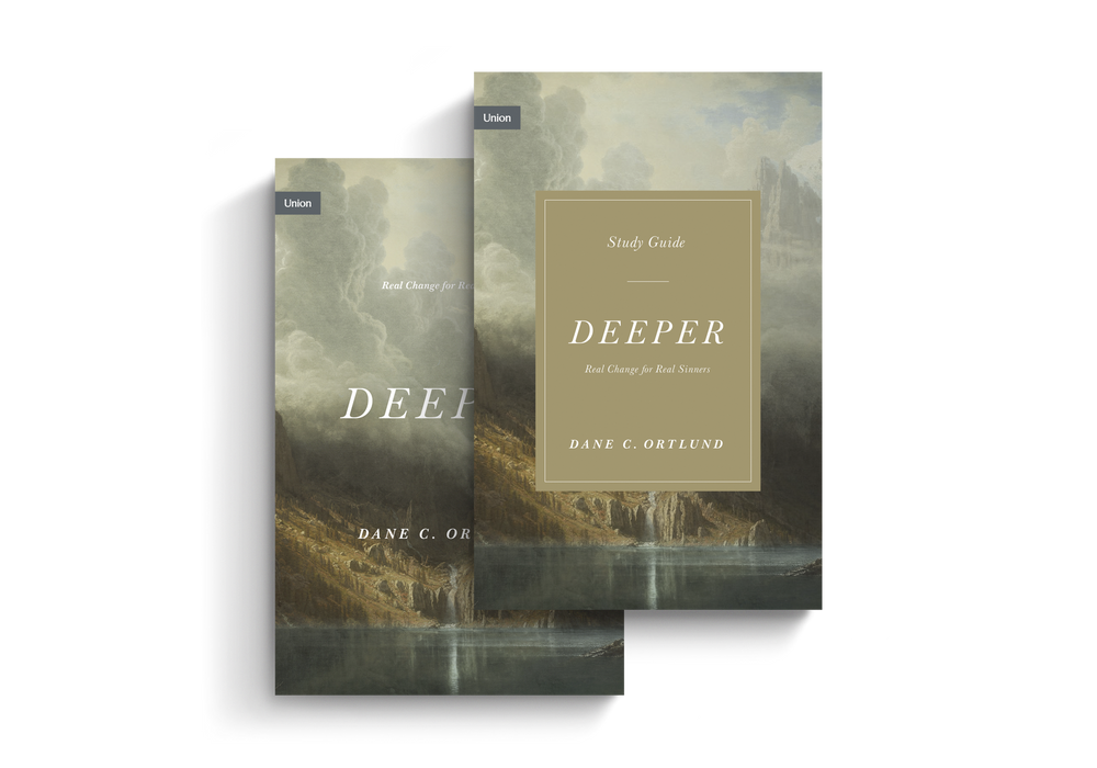 Deeper: Real Change for Real Sinners (Book