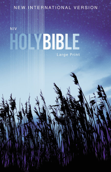 NIV Large Print Outreach Bible (Paperback)