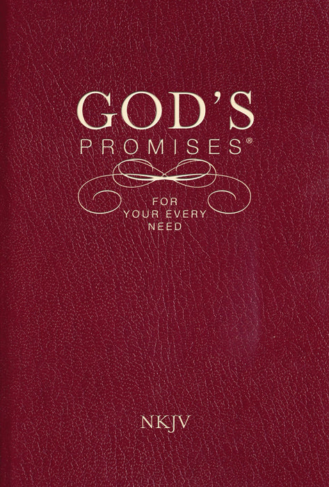 God's Promises for Your Every Need, NKJV (Paperback)