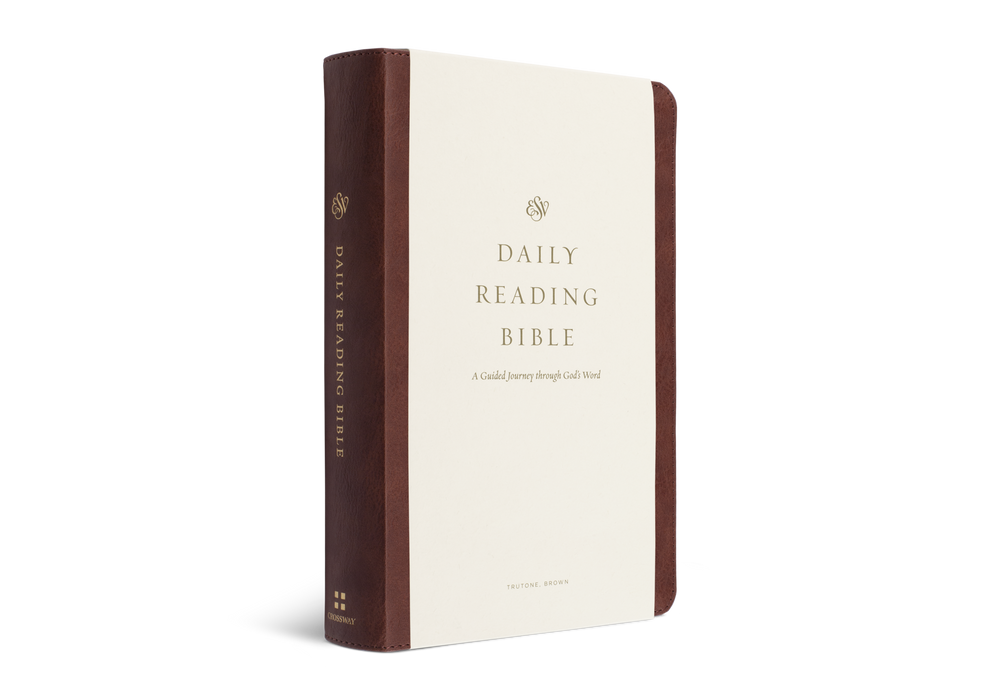 ESV Daily Journey Bible: An Interactive