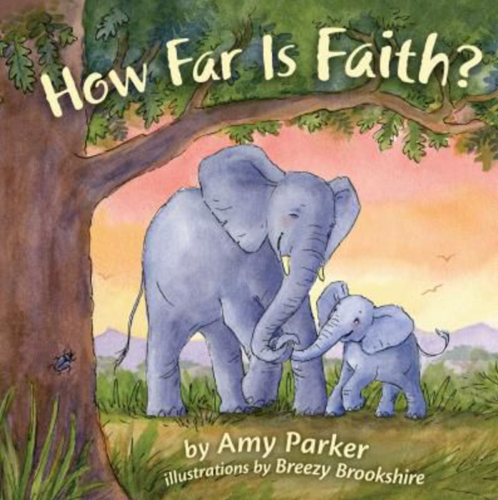 HOW FAR IS FAITH? Board Book - AMY PARKER