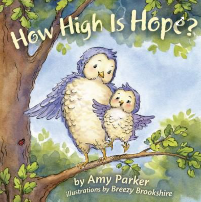 HOW HIGH IS HOPE? Board Book - AMY PARKER