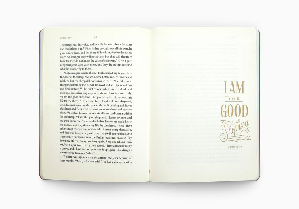 ESV Illuminated Scripture Journal: John