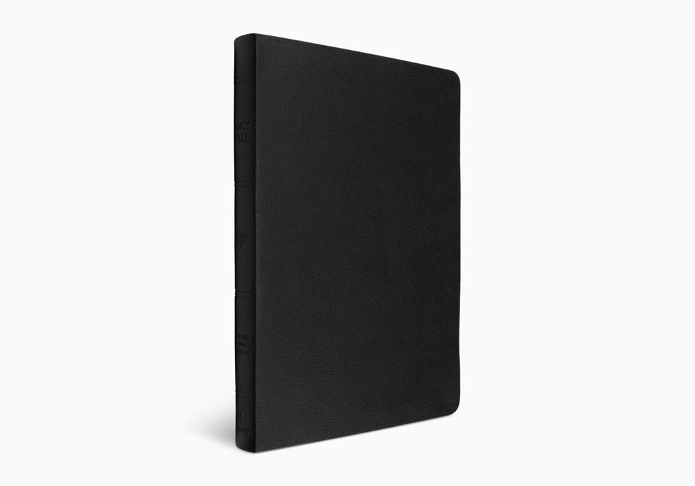 ESV Giant Print Value Thinline Bible, TruTone®, Black
