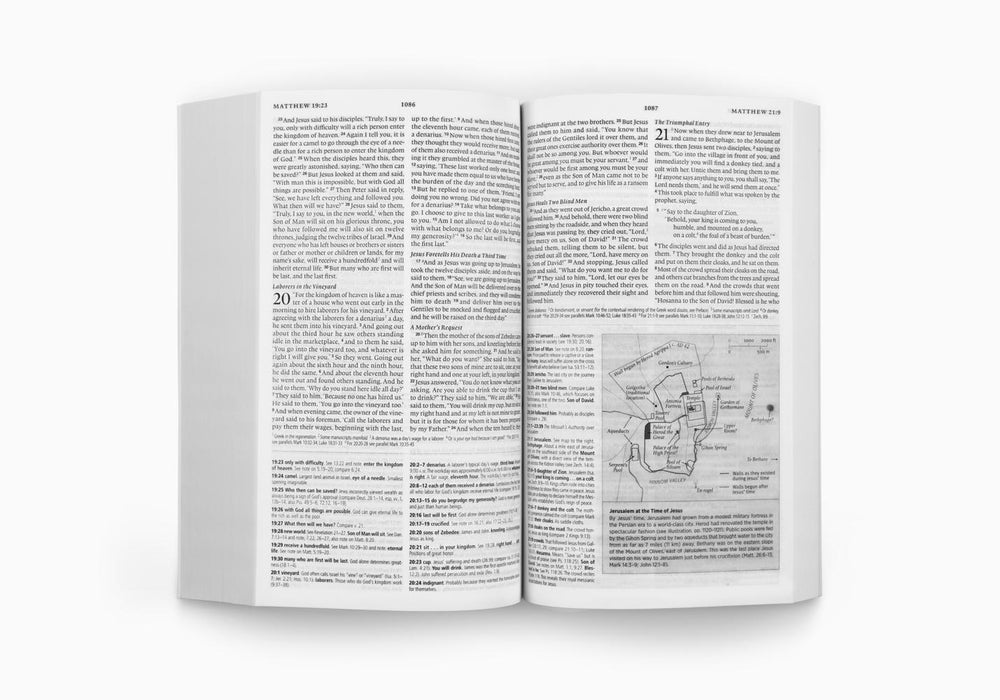 ESV Concise Study Bible, Economy Edition