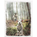 Jesus Rescuing Lamb - Wrapped Canvas - Morning Star Christian Bookstores