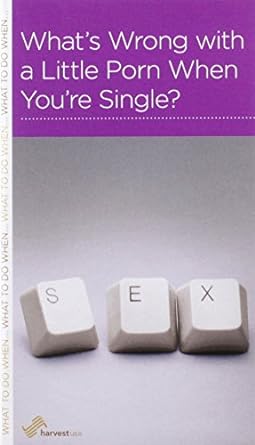 WHAT'S WRONG WITH A LITTLE PORN WHEN YOU'RE SINGLE? MINIBOOK