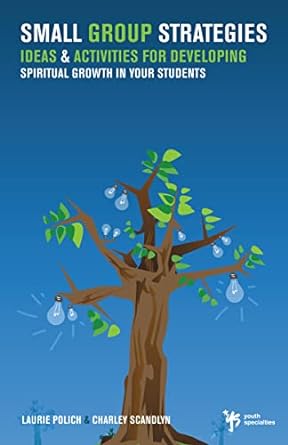 SMALL GROUP STRATEGIES - Morning Star Christian Bookstores