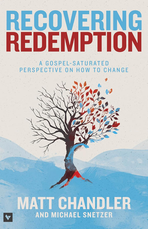 RECOVERING REDEMPTION - Morning Star Christian Bookstores
