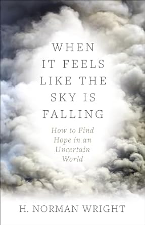 WHEN IT FEELS LIKE THE SKY IS FALLING- WRIGHT - Morning Star Christian Bookstores