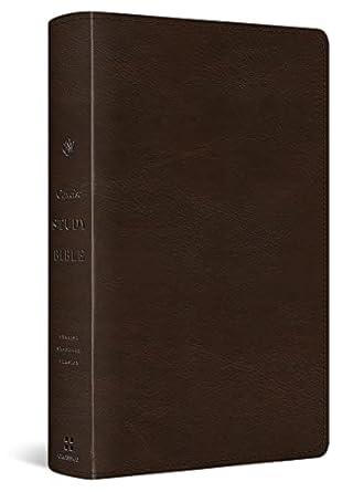 ESV Concise Study Bible TruTone Brown - Morning Star Christian Bookstores