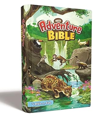 NRSV Adventure Bible HC