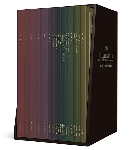 ESV ILLUMINATED SCRIPTURE JOURNALS NT SET - Morning Star Christian Bookstores