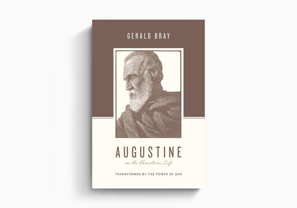 Augustine on the Christian Life