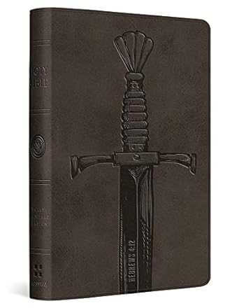 ESV Compact Bible TruTone Silver Sword - Morning Star Christian Bookstores