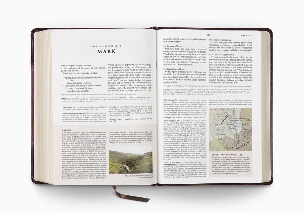 ESV Archaeology Study Bible (Trutone, Brown/Walnut, Portfolio Design)