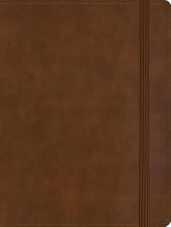 RVR 1960 PERS SIZE N-TAKING Brwn LT - Morning Star Christian Bookstores