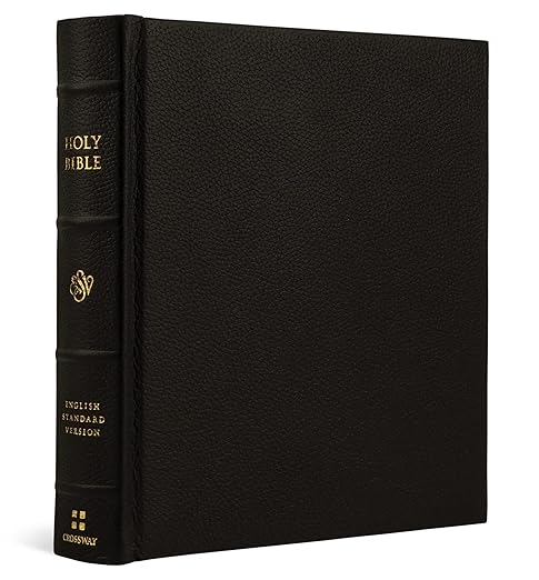 ESV Journaling Bible, Buffalo Leather Over Board - Morning Star Christian Bookstores