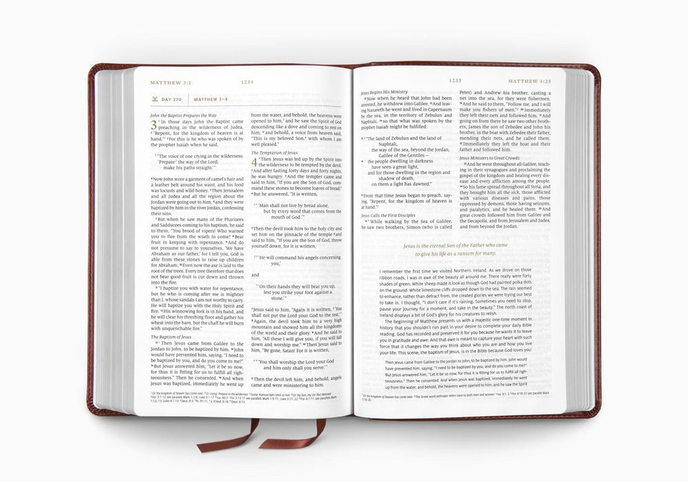 ESV Everyday Gospel Bible: Connecting Scripture to All of Life TruTone®, Chestnut