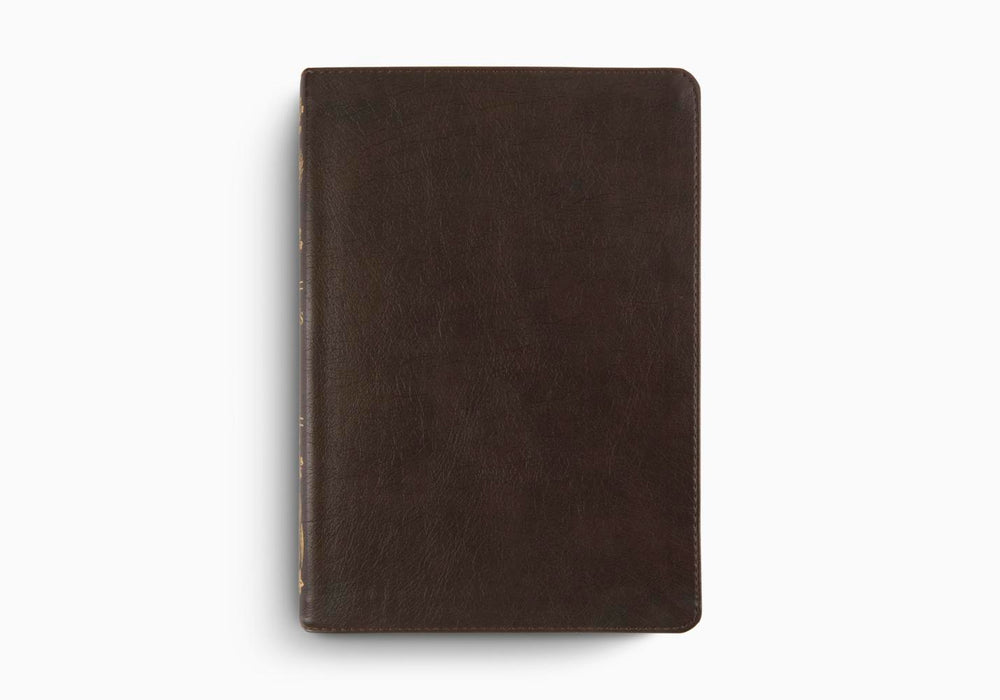 ESV Women's Study Bible TruTone Deep Brown