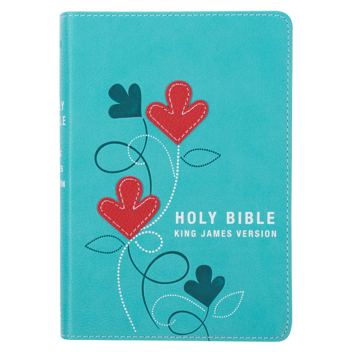 KJV Pocket Bible LL Aqua/Red