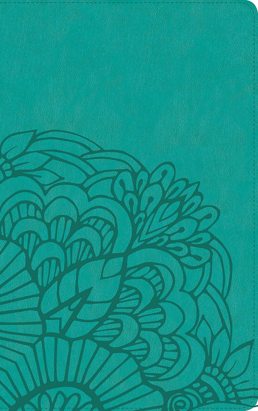 NVI Biblia ultrafina, aqua símil piel con índice (Spanish Edition) - Morning Star Christian Bookstores