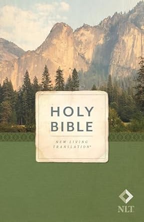 Holy Bible, Economy Outreach Edition, NLT (paperback)