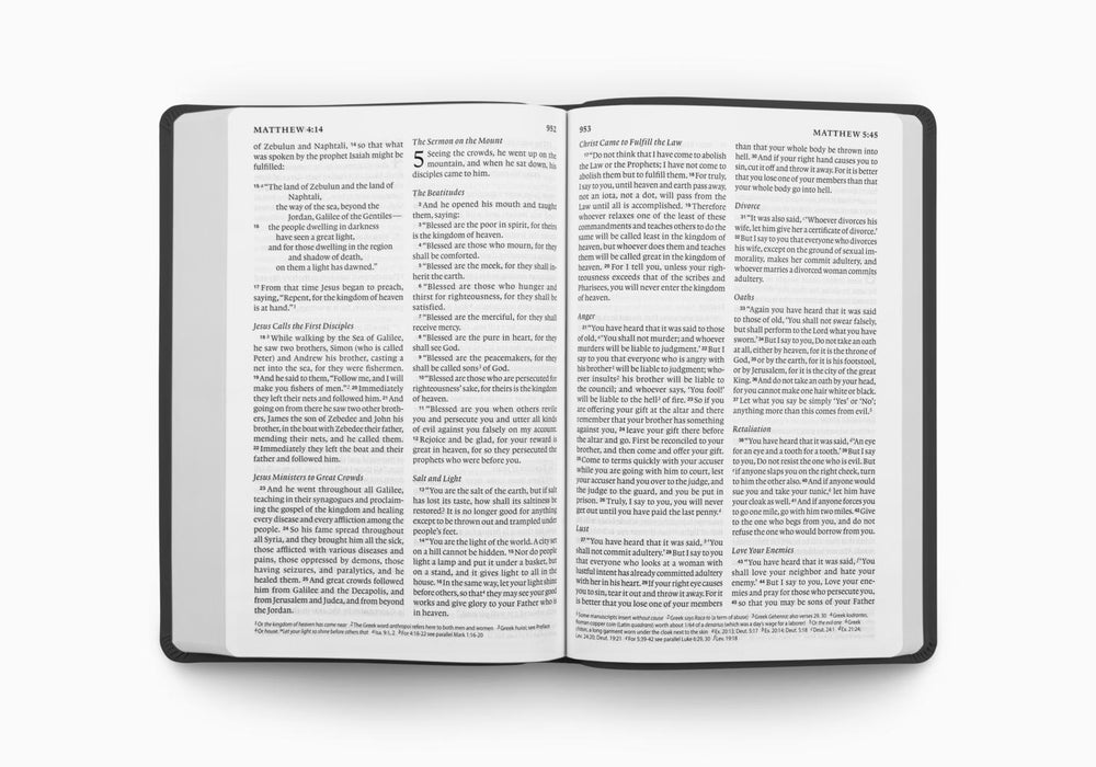 ESV Giant Print Value Thinline Bible, TruTone®, Black