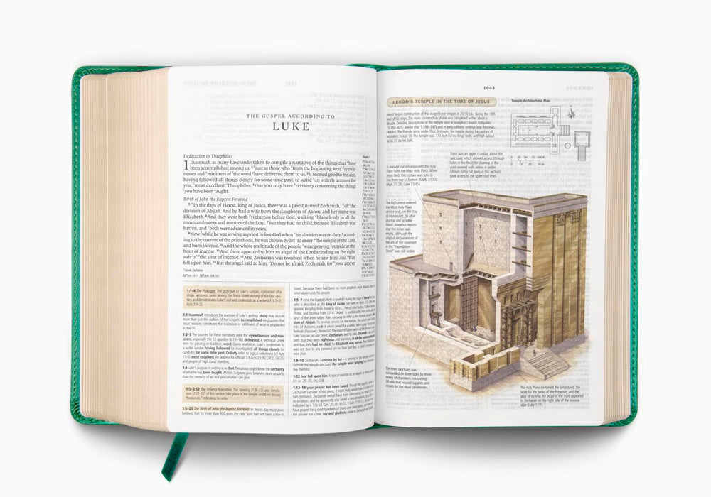 ESV Study Bible, Personal Size TruTone®, Turquoise, Emblem Design