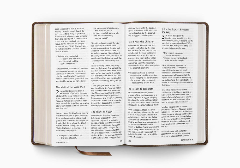 ESV Holy Bible: Dyslexia-Friendly Edition (Trutone, Brown)