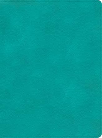 CSB Apologetics Study Bible, Teal