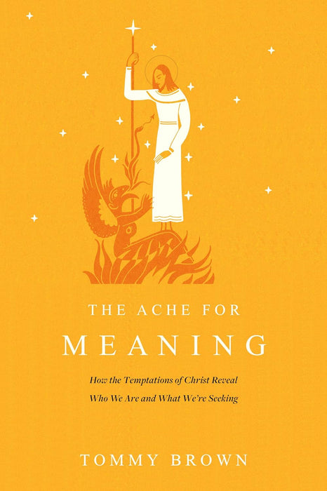 The Ache for Meaning