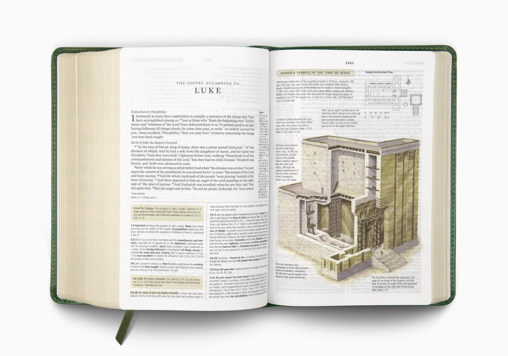 ESV Study Bible, Personal Size, TruTone®, Quiet Forest, Ornament Design