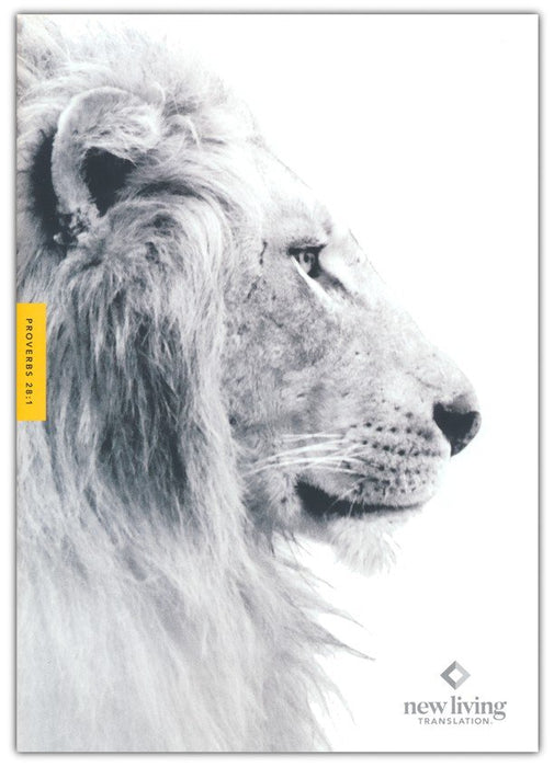 Courage Life Bible Men HC NLT - Morning Star Christian Bookstores