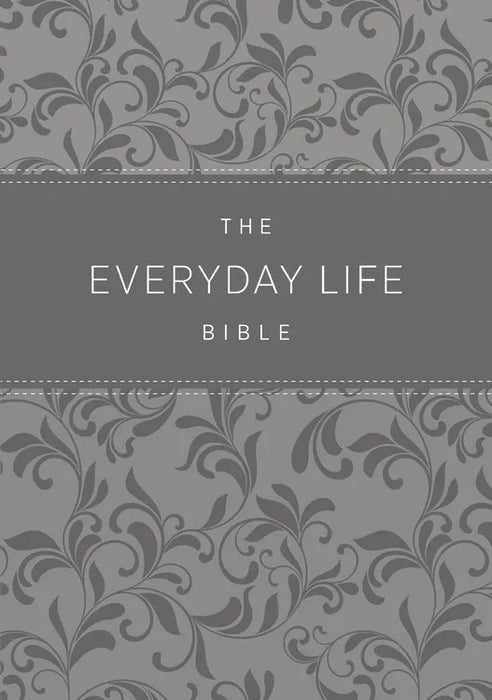AMP EVERYDAY LIFE BIBLE GRAY LEATHERLUXE - JOYCE MEYER