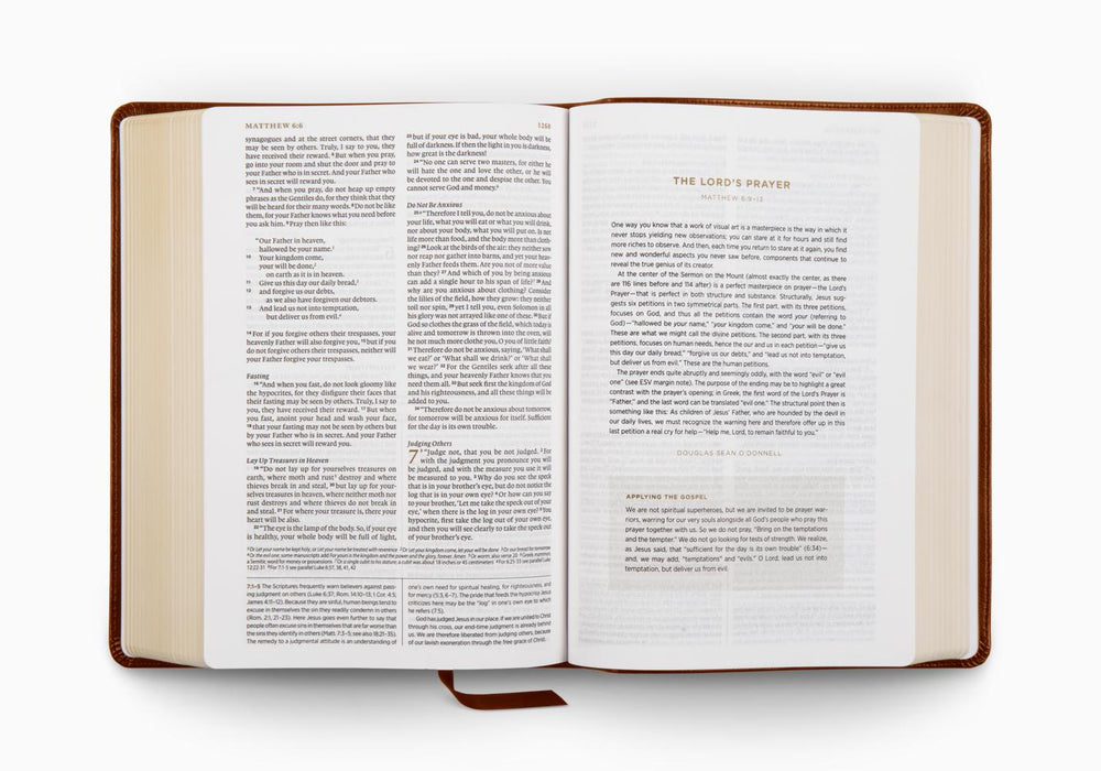 ESV Applying the Gospel Study Bible for Men, TruTone®, Brown
