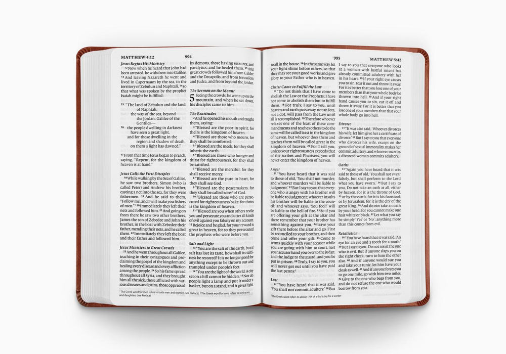 ESV Large Print Value Thinline Bible (TruTone, Tan, Ornament Design)