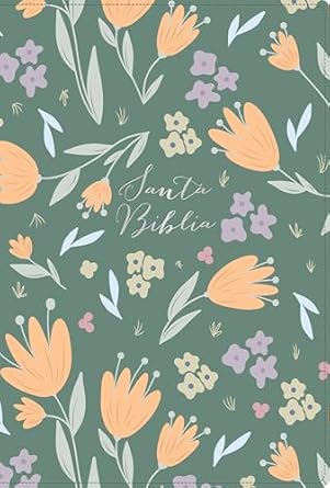 RVR 1960 Biblia letra grande tamaño manual edición especial, verde, símil piel