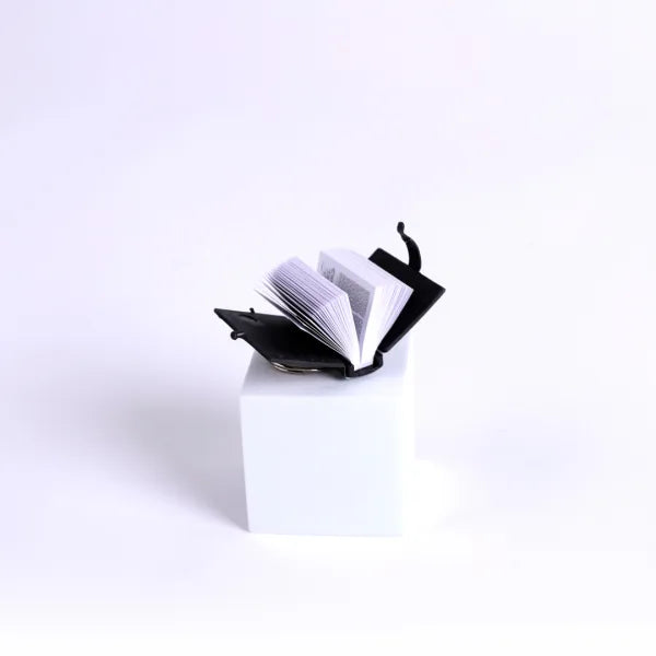 Mini Bible Keyring Black