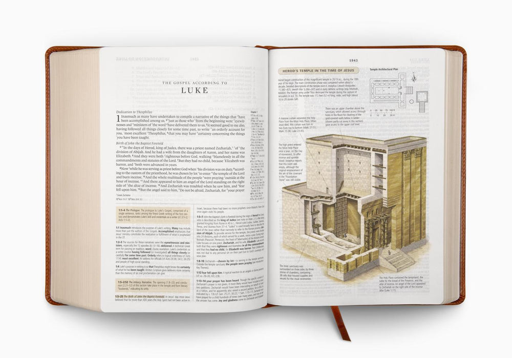 ESV Study Bible, TruTone®, English Saddle, Ornament Design