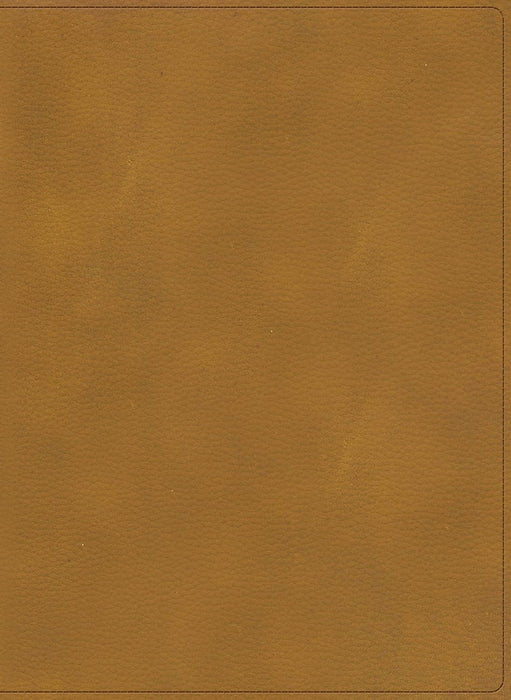 RVR 1960 Biblia ilustrada, café símil piel - Morning Star Christian Bookstores