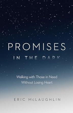 Promises in the Dark, Eric McLaughlin - Morning Star Christian Bookstores