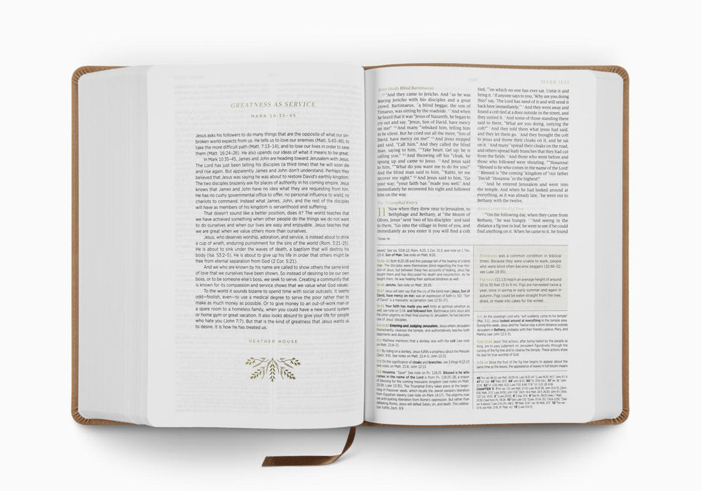 ESV Women's Study Bible, TruTone®, Nubuck Caramel, 1 Chronicles 16:34 Design