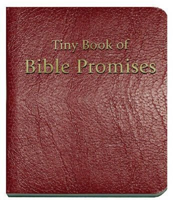 MY BOOK OF BIBLE PROMISES - MAROON