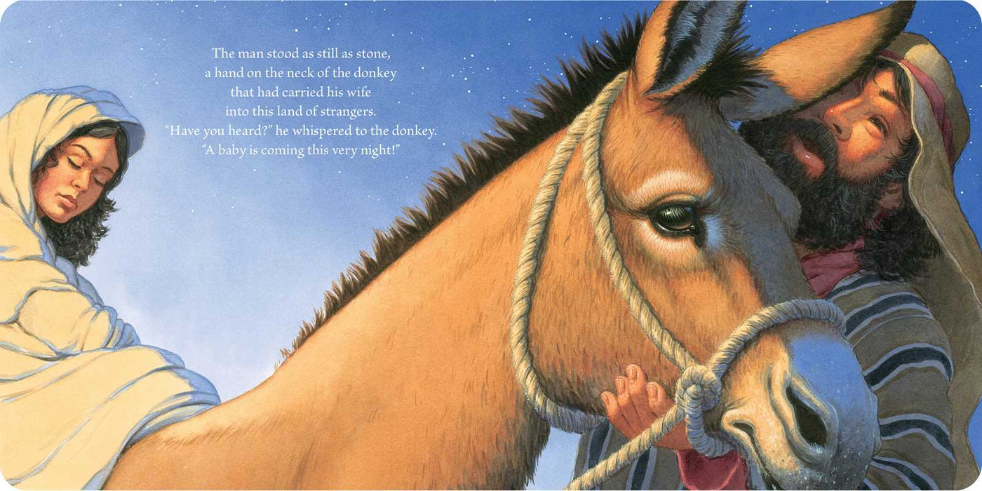 Christmas Baby - Marion Dane Bauer