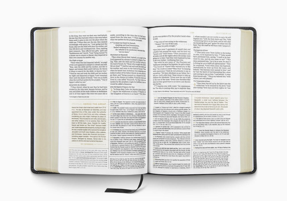 ESV Men's Study Bible, TruTone®, Charcoal, Shield Design