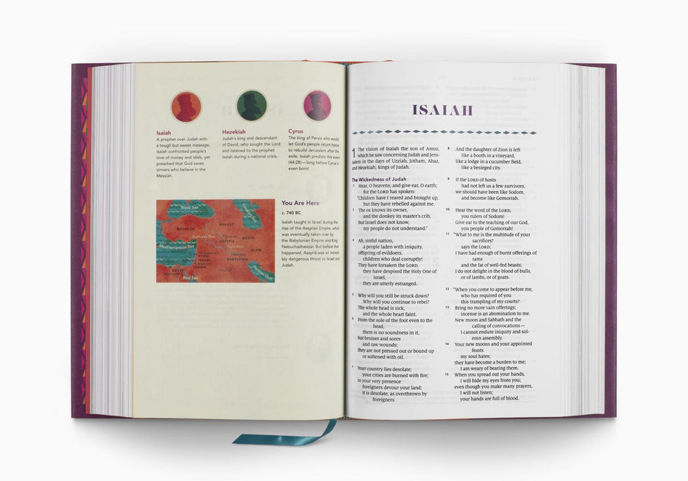 ESV The Biggest Story Holy Bible for Kids, Hardcover
