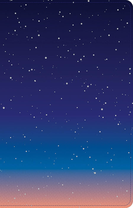 CSB Kids Thinline Bible, Space Leathertouch